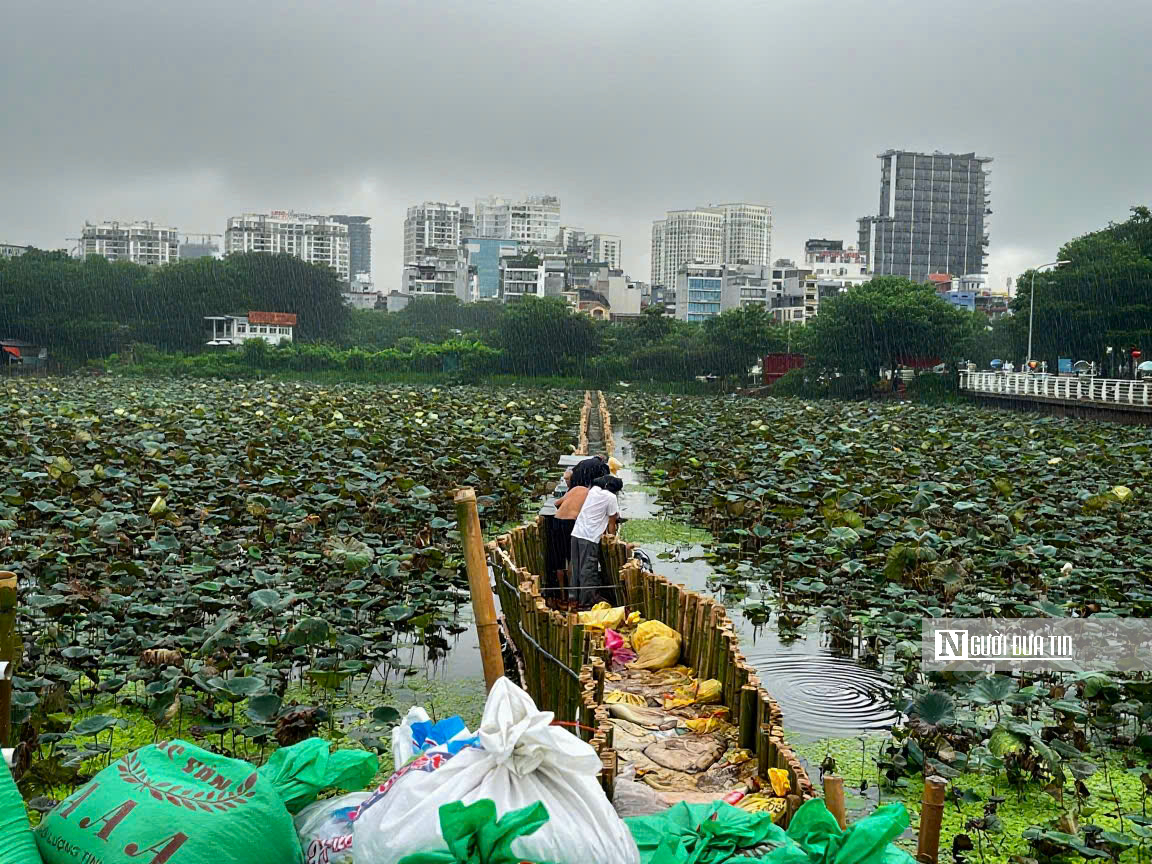 Hà Nội: Đội mưa thi công dưới hồ sen làm dự án "hồi sinh" sông Tô Lịch - Ảnh 3.