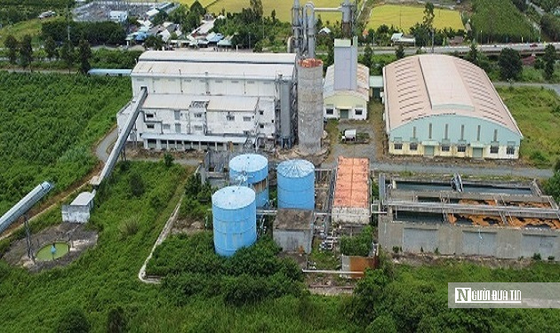 Nhà máy bột giấy nghìn tỷ bỏ hoang, 45ha "đất vàng" phủ đầy cỏ dại- Ảnh 3.