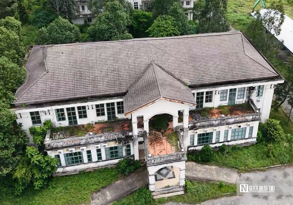 Nhà máy bột giấy nghìn tỷ bỏ hoang, 45ha "đất vàng" phủ đầy cỏ dại- Ảnh 4.