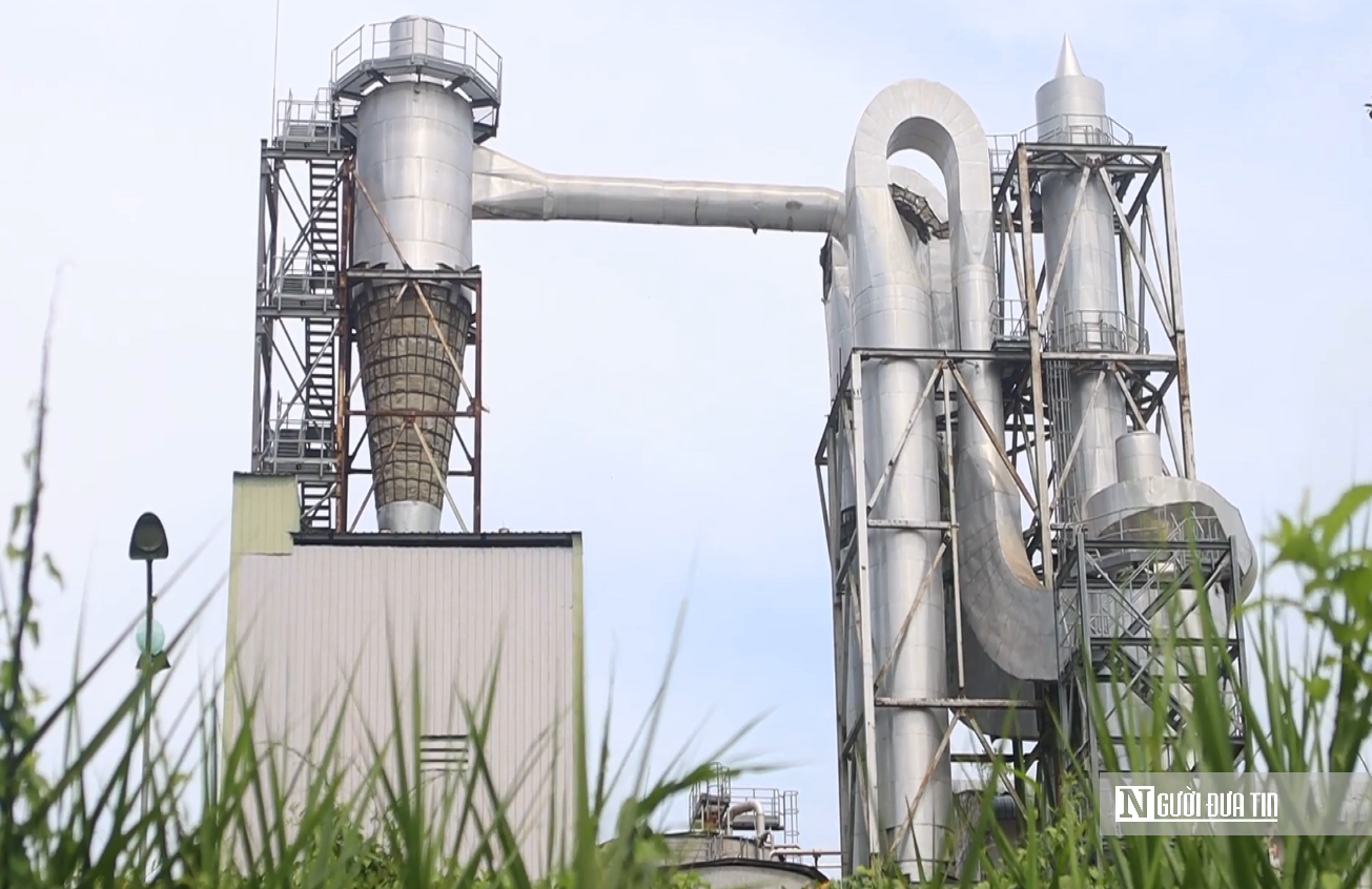 Nhà máy bột giấy nghìn tỷ bỏ hoang, 45ha "đất vàng" phủ đầy cỏ dại- Ảnh 5.