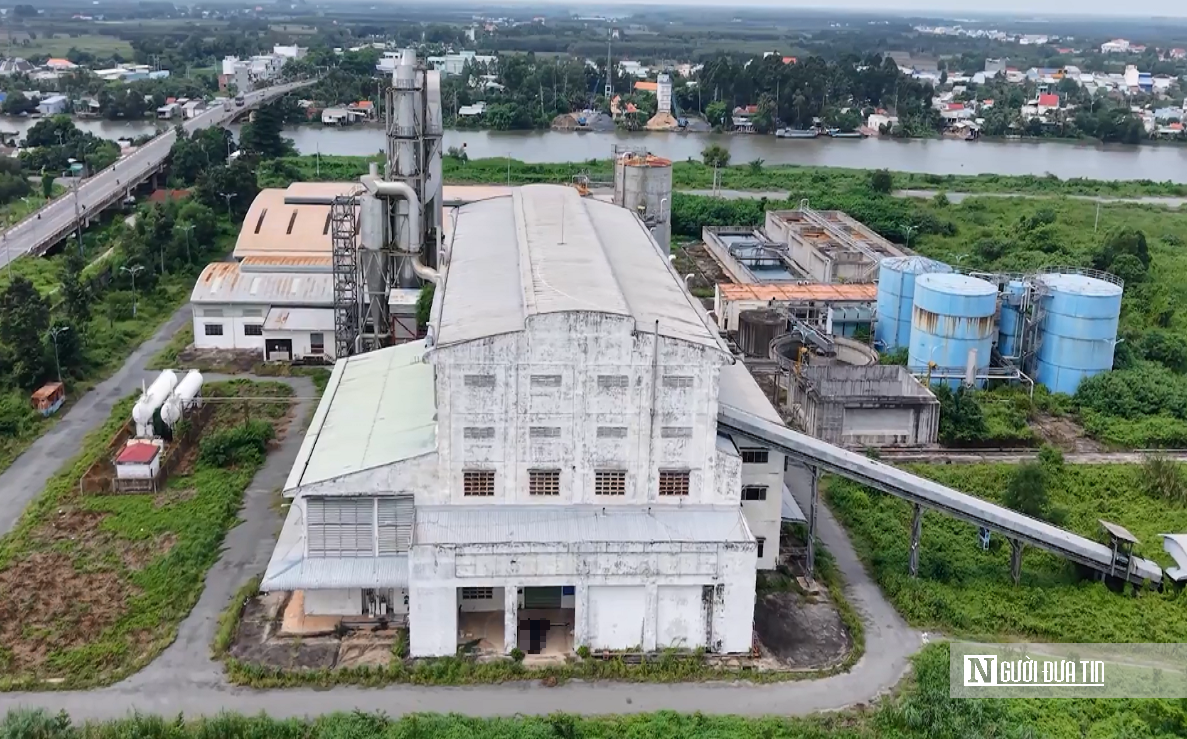 Nhà máy bột giấy nghìn tỷ bỏ hoang, 45ha "đất vàng" phủ đầy cỏ dại- Ảnh 6.
