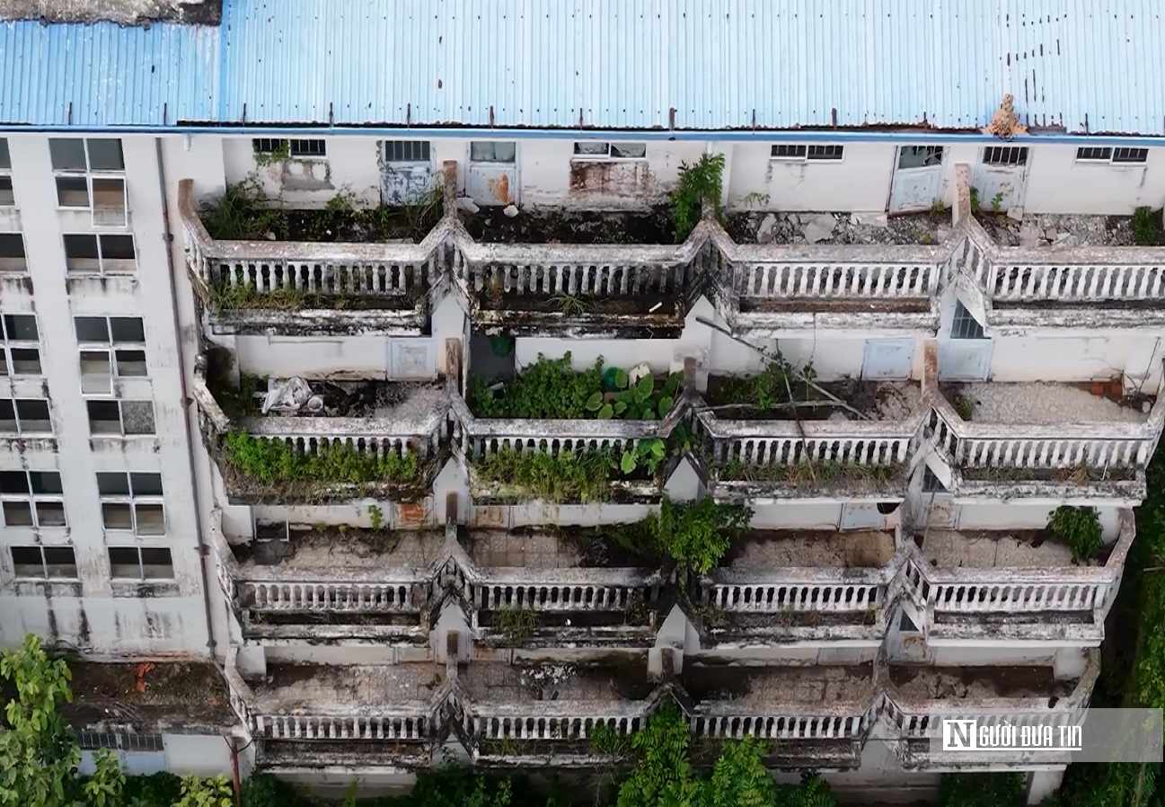 Nhà máy bột giấy nghìn tỷ bỏ hoang, 45ha "đất vàng" phủ đầy cỏ dại- Ảnh 11.
