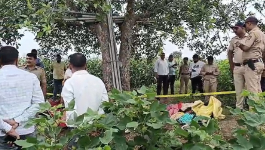 Điện giật, 5 người trong gia đình tử vong trên cánh đồng - Ảnh 1.