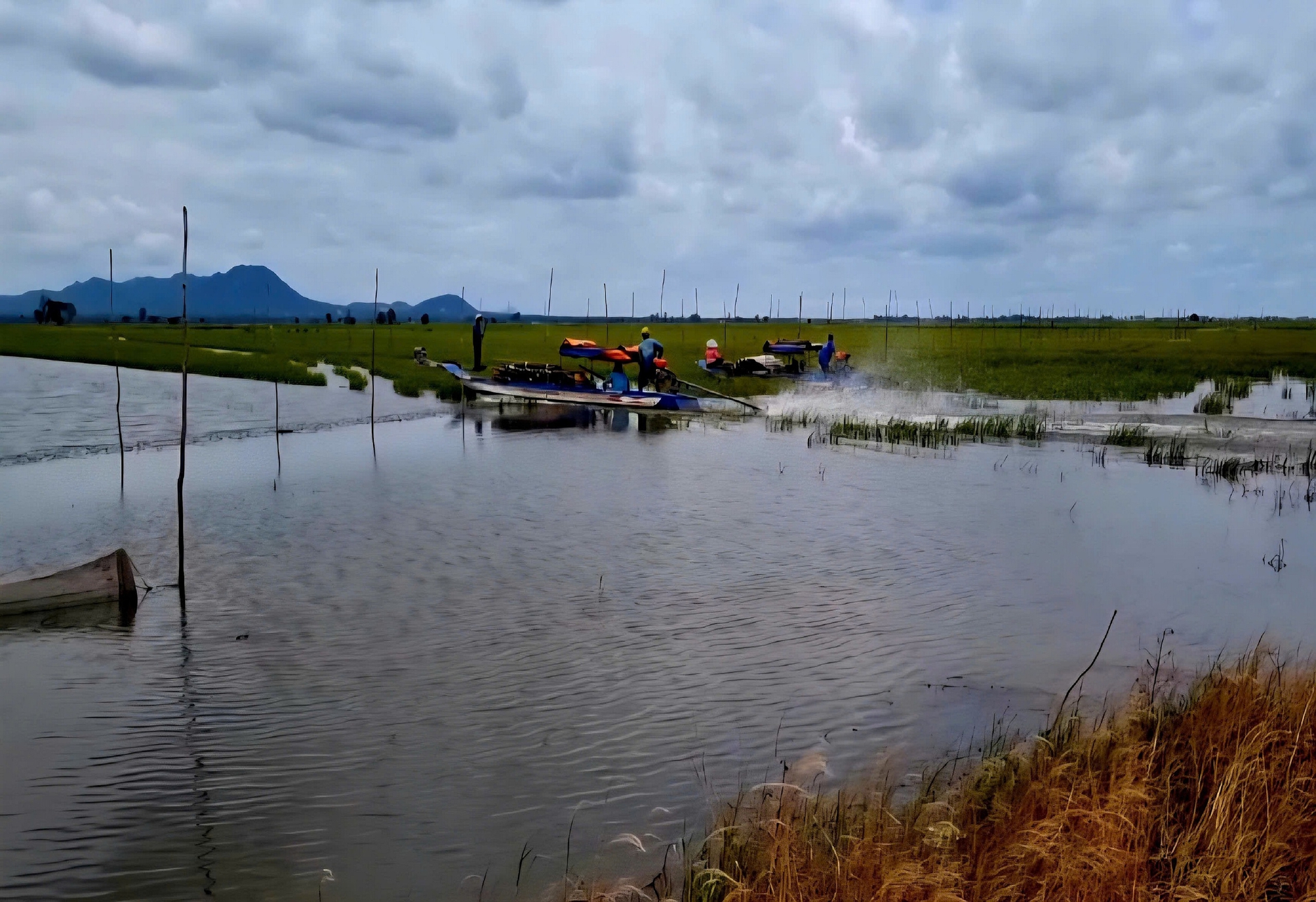 "Cần câu cơm" của nông dân miền Tây trên cánh đồng nước trắng- Ảnh 15.