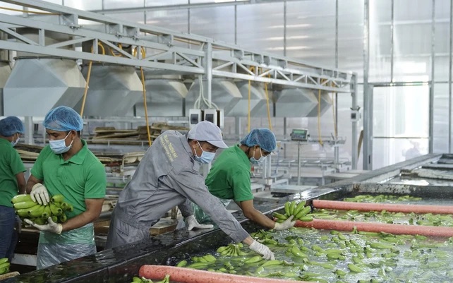 Đế chế nông nghiệp của tỷ phú Trần Bá Dương tất toán sớm lô trái phiếu nghìn tỷ đồng - Ảnh 1.