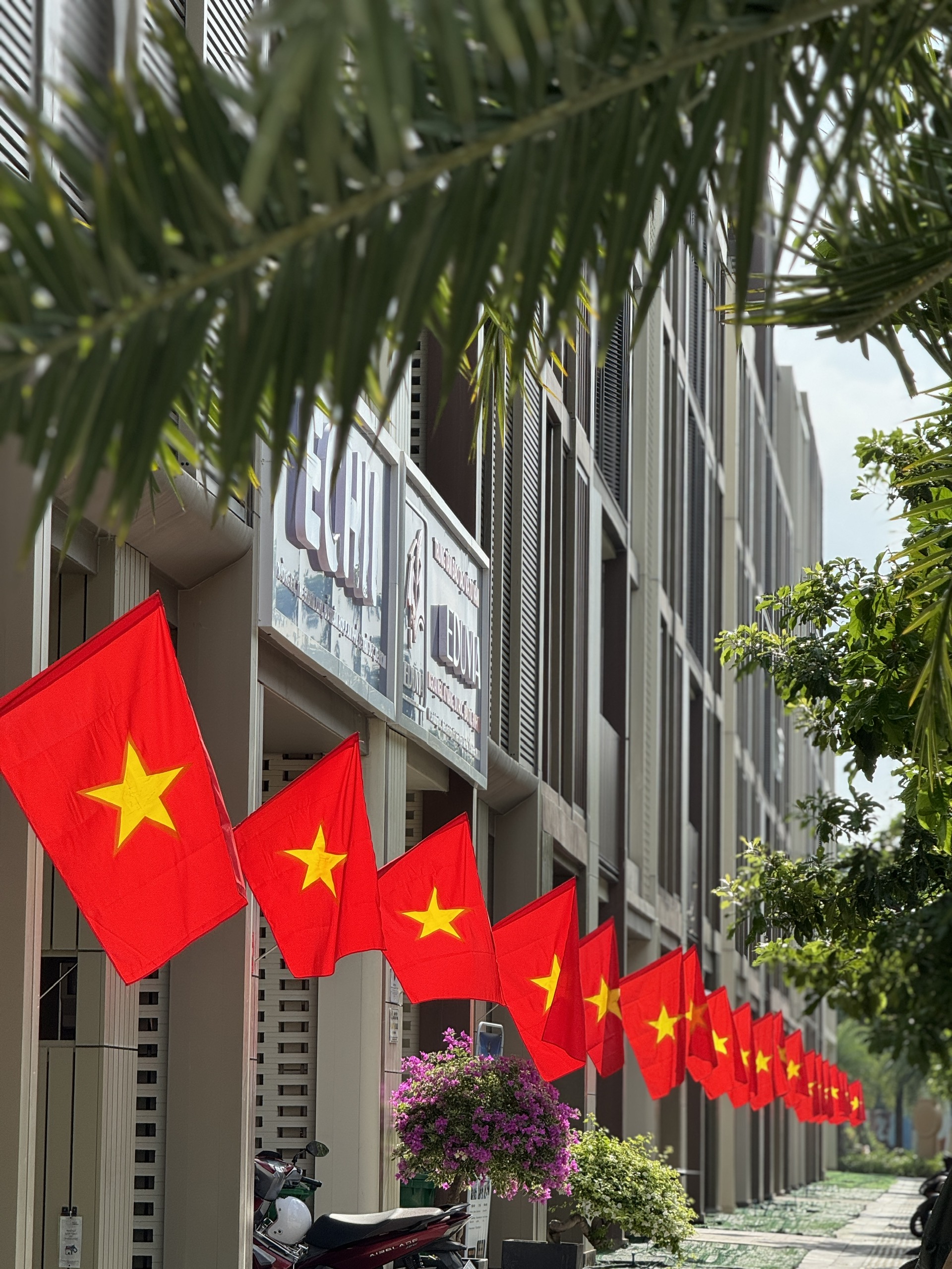 Cư dân Masterise Homes nhận quà “yêu nước”, tự hào chung tay “phủ đỏ” Việt Nam - Ảnh 5.
