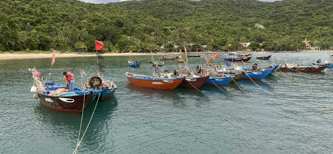 Cuộc chạy đua với bão Kajiki: Đà Nẵng kêu gọi tàu thuyền về bờ neo đậu, hỗ trợ dân chằn chống nhà cửa- Ảnh 4. Cuộc chạy đua với bão Kajiki: Đà Nẵng kêu gọi tàu thuyền về bờ neo đậu, hỗ trợ dân chằn chống nhà cửa- Ảnh 4.