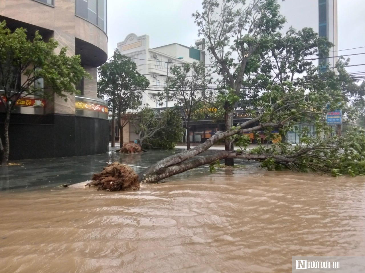 Bão số 5 đổ bộ, nhiều tuyến đường ở Nghệ An chìm trong nước - Ảnh 7.