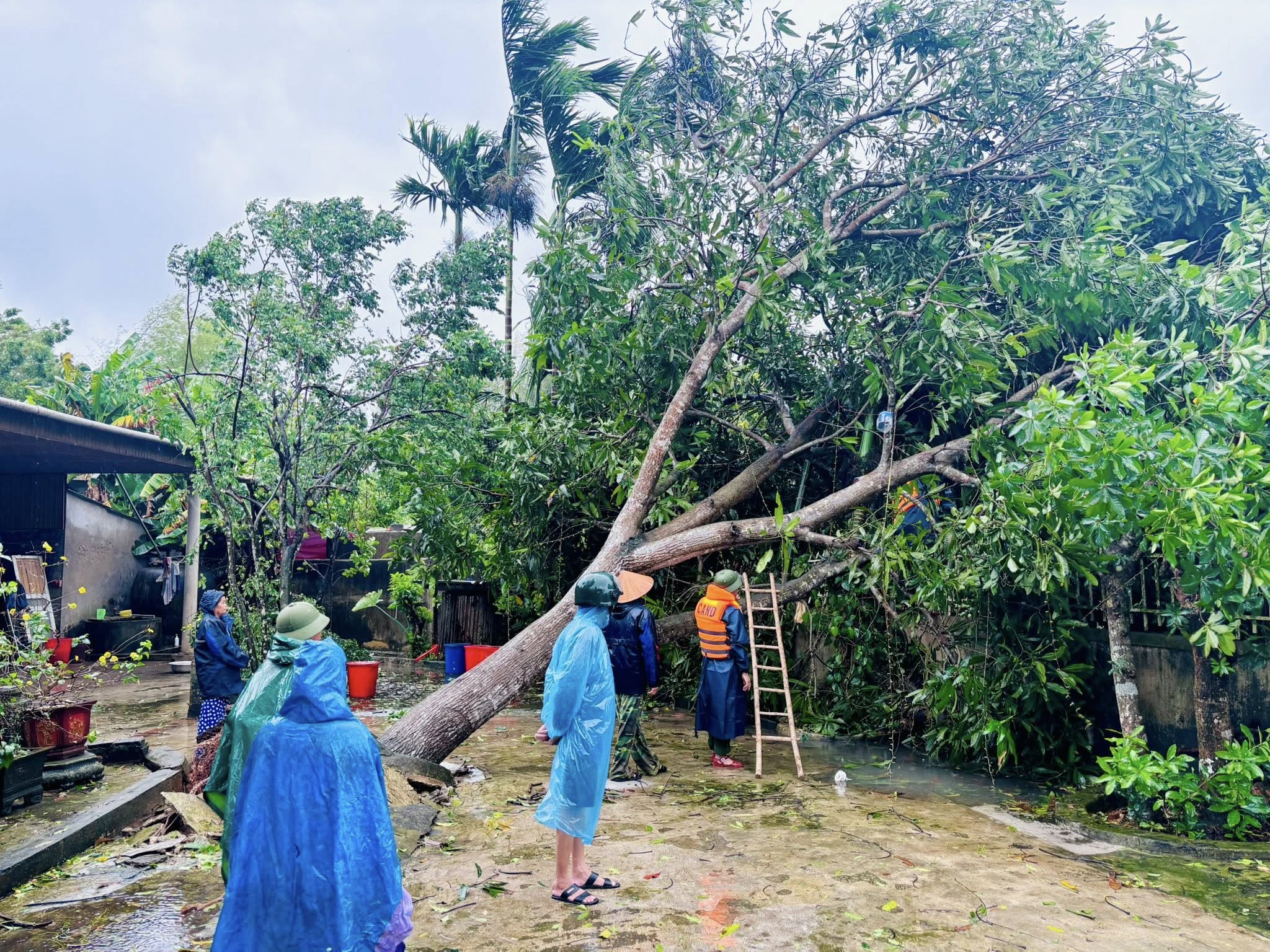 Phó thủ tướng Chính phủ Trần Hồng Hà kiểm tra, động viên nhân dân Hà Tĩnh sau bão số 5- Ảnh 3.