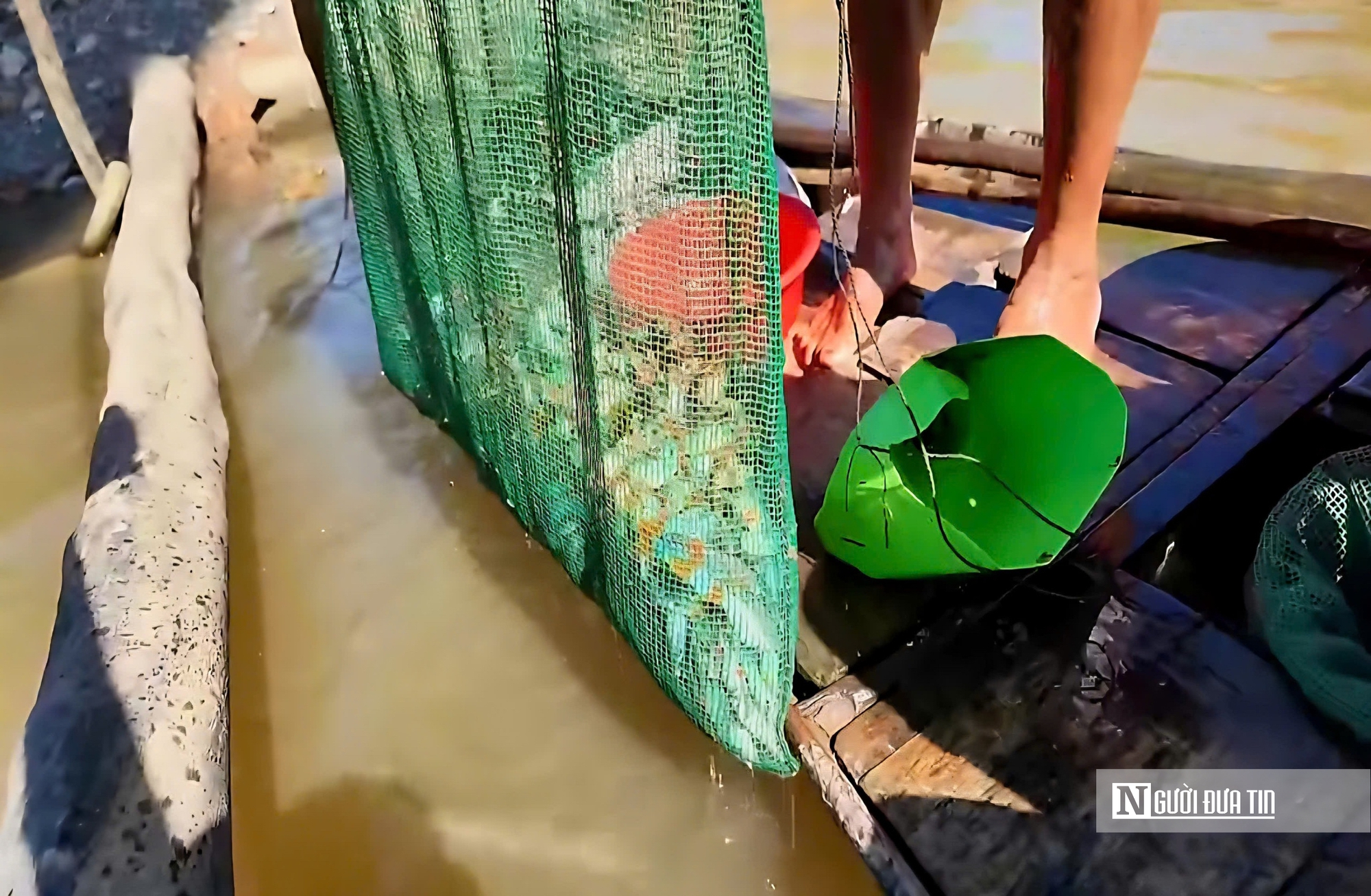 Theo ngư dân săn “cá heo” trên sông nước miền Tây- Ảnh 6. Theo ngư dân săn “cá heo” trên sông nước miền Tây- Ảnh 6.