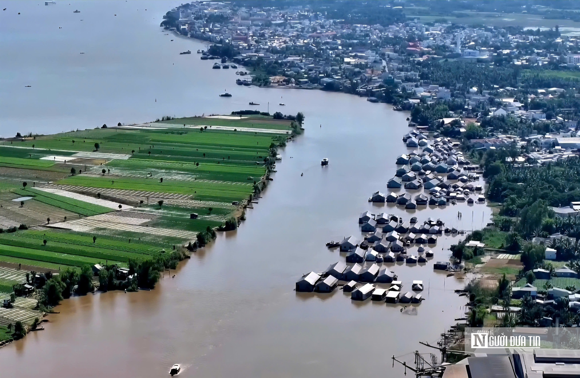 Theo ngư dân săn “cá heo” trên sông nước miền Tây- Ảnh 11. Theo ngư dân săn “cá heo” trên sông nước miền Tây- Ảnh 11.