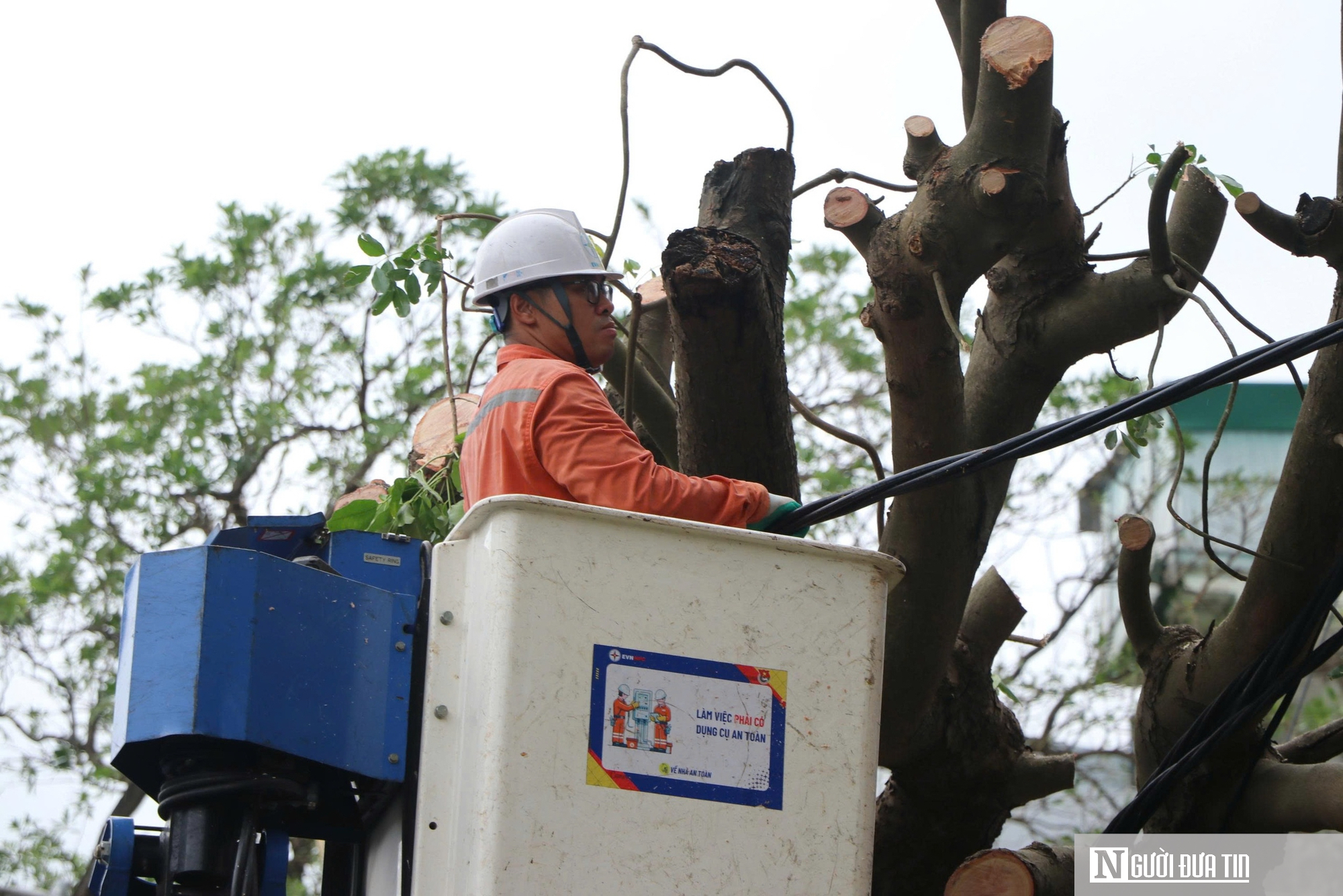 Những người thợ áo cam căng mình dựng lại điện sau cơn bão số 5- Ảnh 4. Những người thợ áo cam căng mình dựng lại điện sau cơn bão số 5- Ảnh 4.