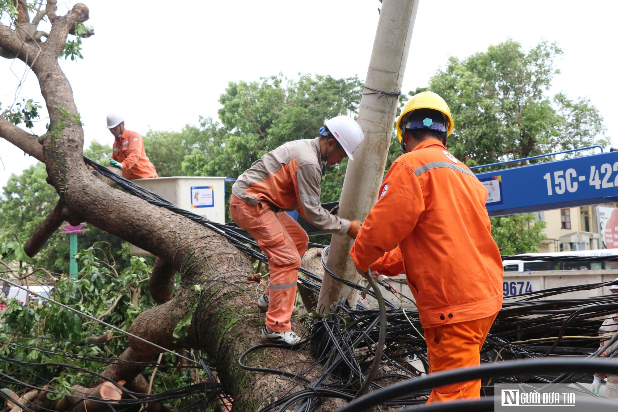Những người thợ áo cam căng mình dựng lại điện sau cơn bão số 5- Ảnh 5. Những người thợ áo cam căng mình dựng lại điện sau cơn bão số 5- Ảnh 5.