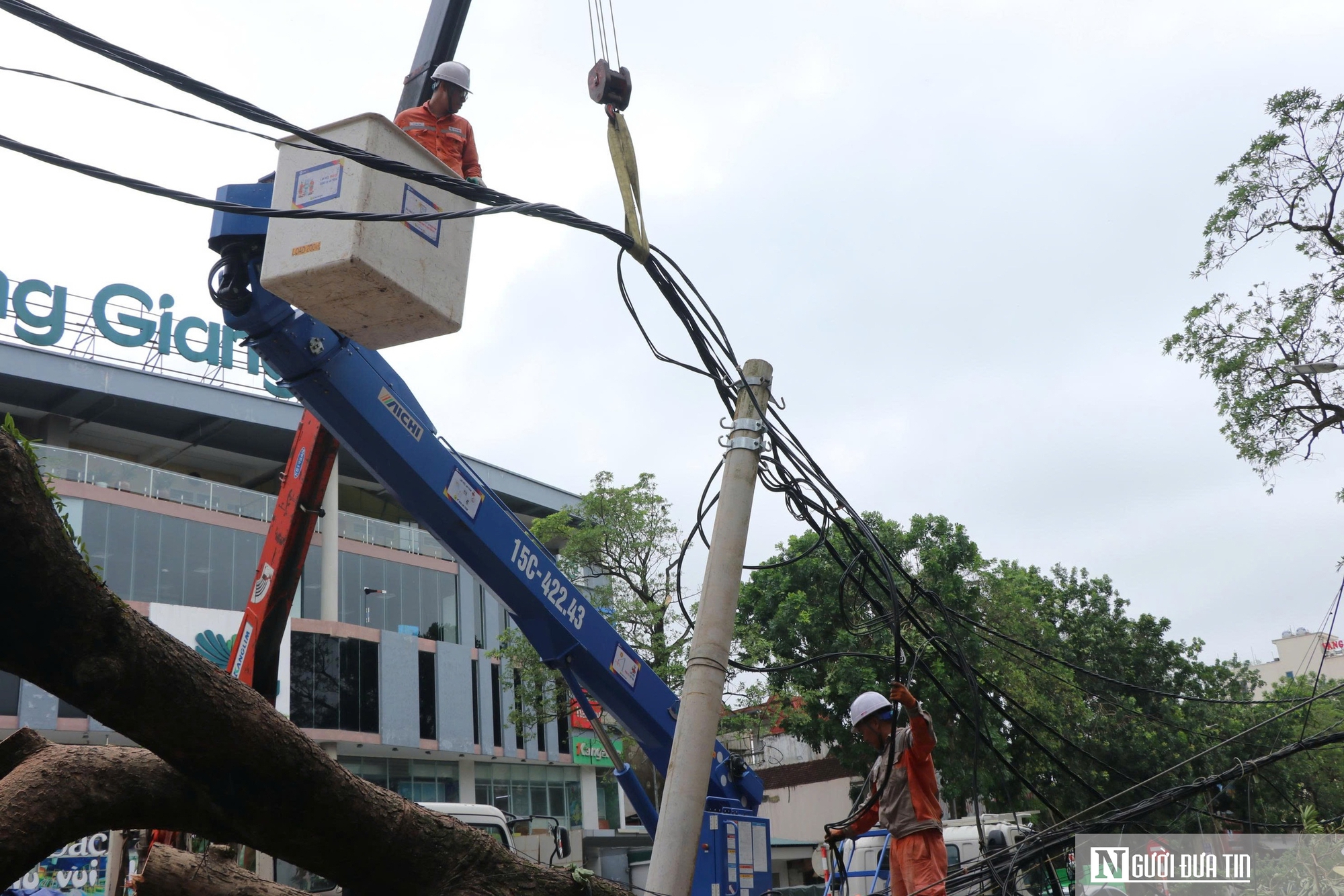 Những người thợ áo cam căng mình dựng lại điện sau cơn bão số 5- Ảnh 6. Những người thợ áo cam căng mình dựng lại điện sau cơn bão số 5- Ảnh 6.