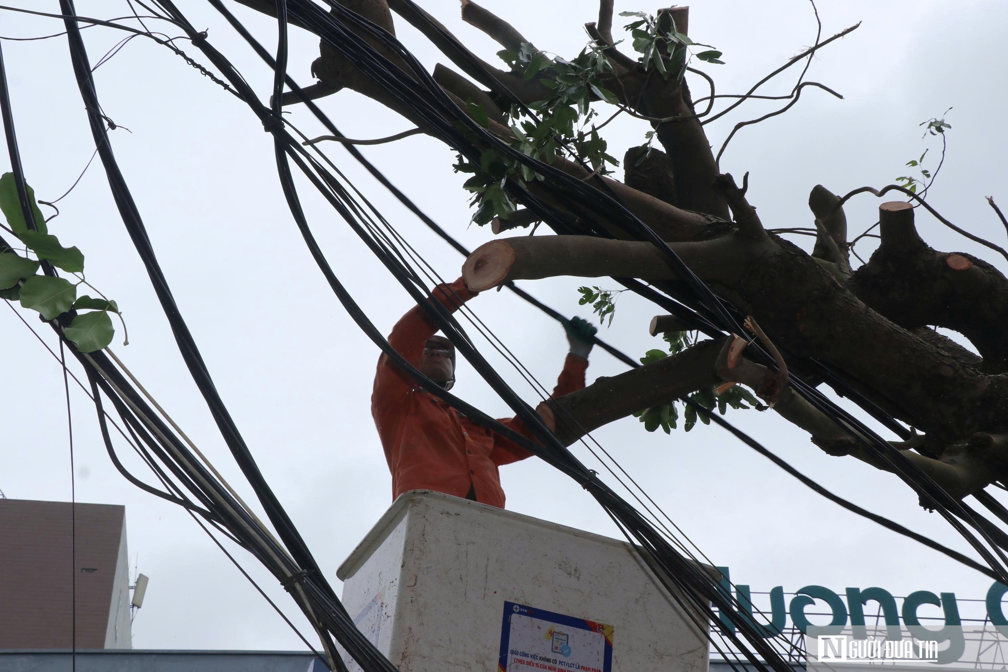 Những người thợ áo cam căng mình dựng lại điện sau cơn bão số 5- Ảnh 8. Những người thợ áo cam căng mình dựng lại điện sau cơn bão số 5- Ảnh 8.