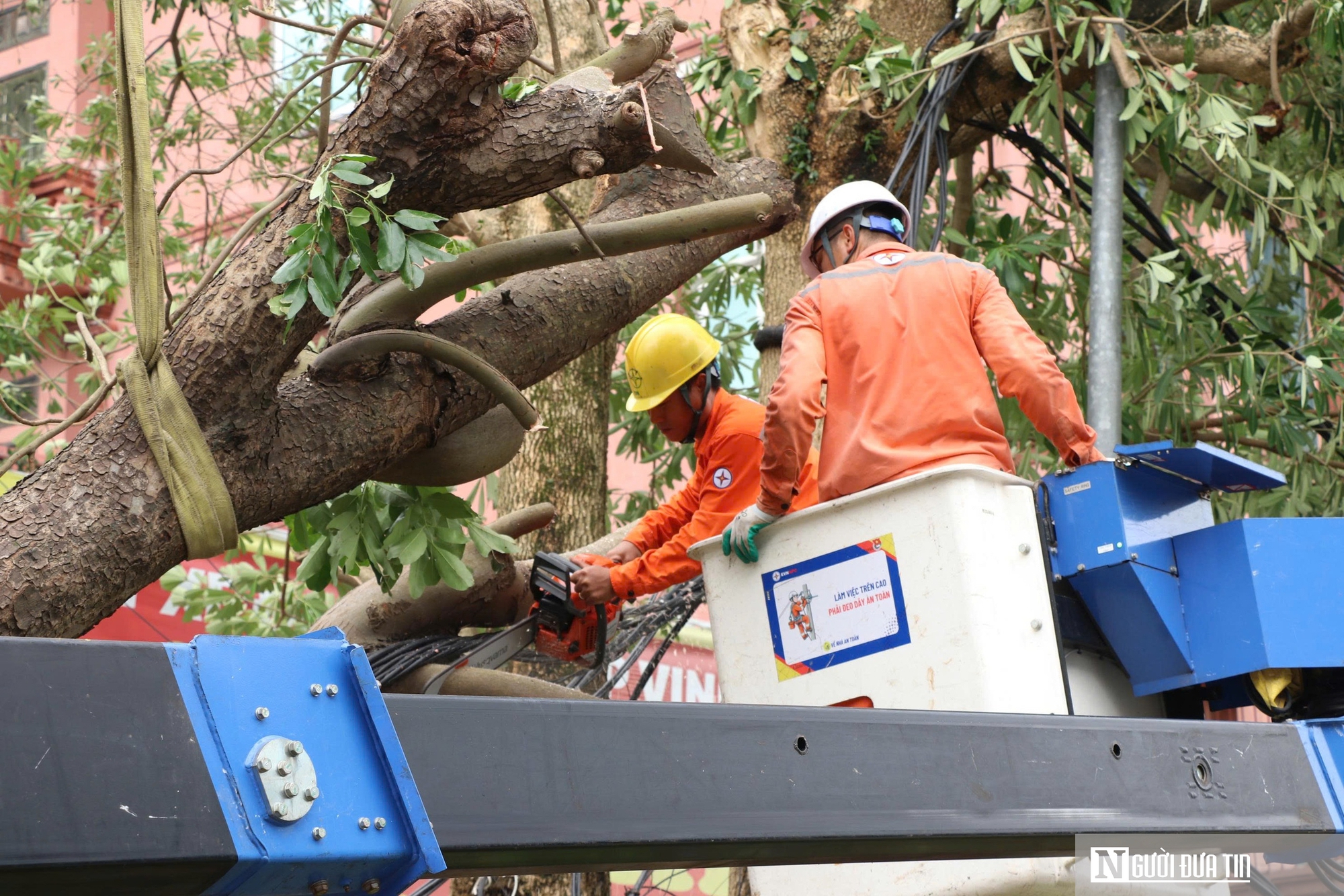 Những người thợ áo cam căng mình dựng lại điện sau cơn bão số 5- Ảnh 9. Những người thợ áo cam căng mình dựng lại điện sau cơn bão số 5- Ảnh 9.