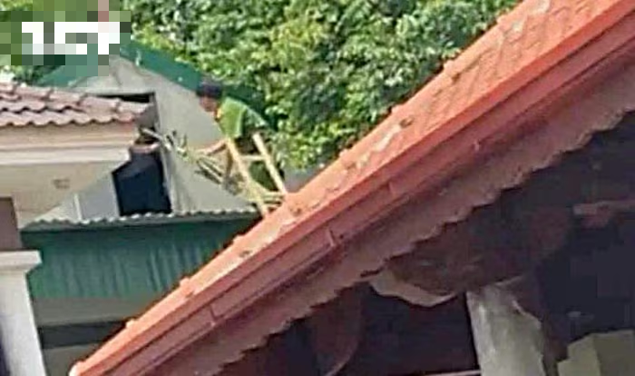 Bản tin 29/8: Leo lên mái nhà hàng xóm, người đàn ông tử vong - Ảnh 1.