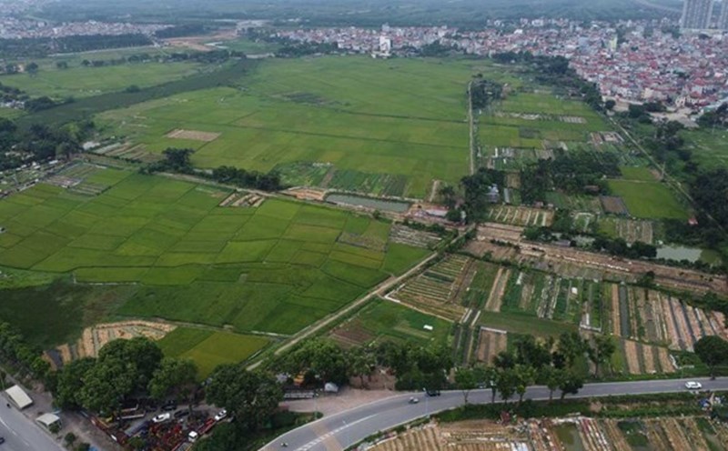Hướng dẫn các căn cứ để thực hiện thu hồi đất, cho phép chuyển mục đích sử dụng - Ảnh 1.