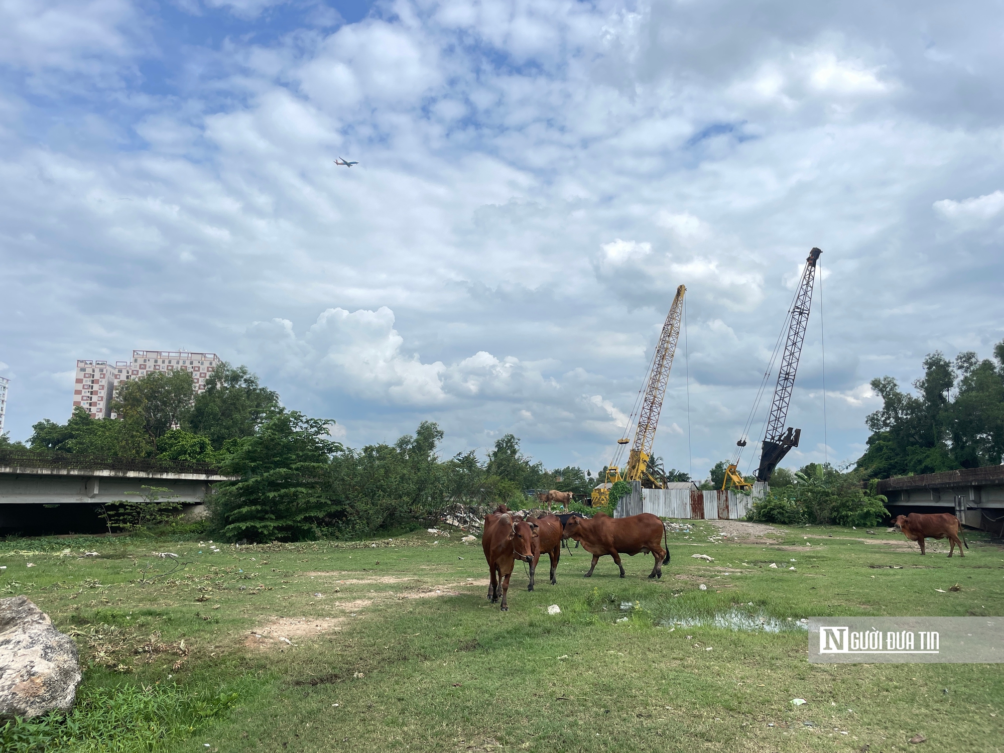Cận cảnh dự án Vành đai 2 Tp.HCM nhiều năm “đắp chiếu” chờ ngày “hồi sinh”- Ảnh 5. Cận cảnh dự án Vành đai 2 Tp.HCM nhiều năm “đắp chiếu” chờ ngày “hồi sinh”- Ảnh 5.