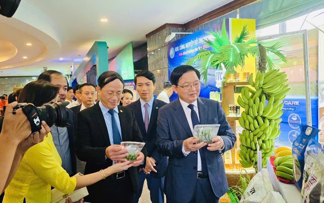 Gia Lai xây dựng Trung tâm đào tạo nhân lực năng lượng tái tạo hơn 2.300 tỷ đồng- Ảnh 2.