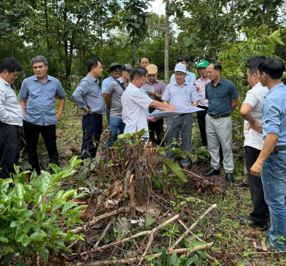 Gia Lai: Hơn 1.211 tỷ đồng xây dựng trường nội trú ở các xã biên giới- Ảnh 1.
