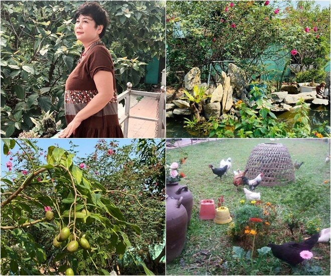 "Nữ NSND cô đơn nhất làng hài": Chọn một cách sống "lặng" nhưng không "lụi" trong trang trại 20.000m2 - Ảnh 5.