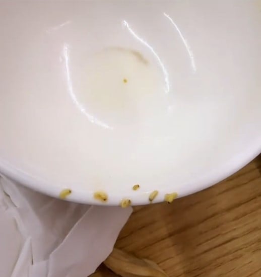 Một nhà hàng bị thực khách tố có giòi trong món súp- Ảnh 2.