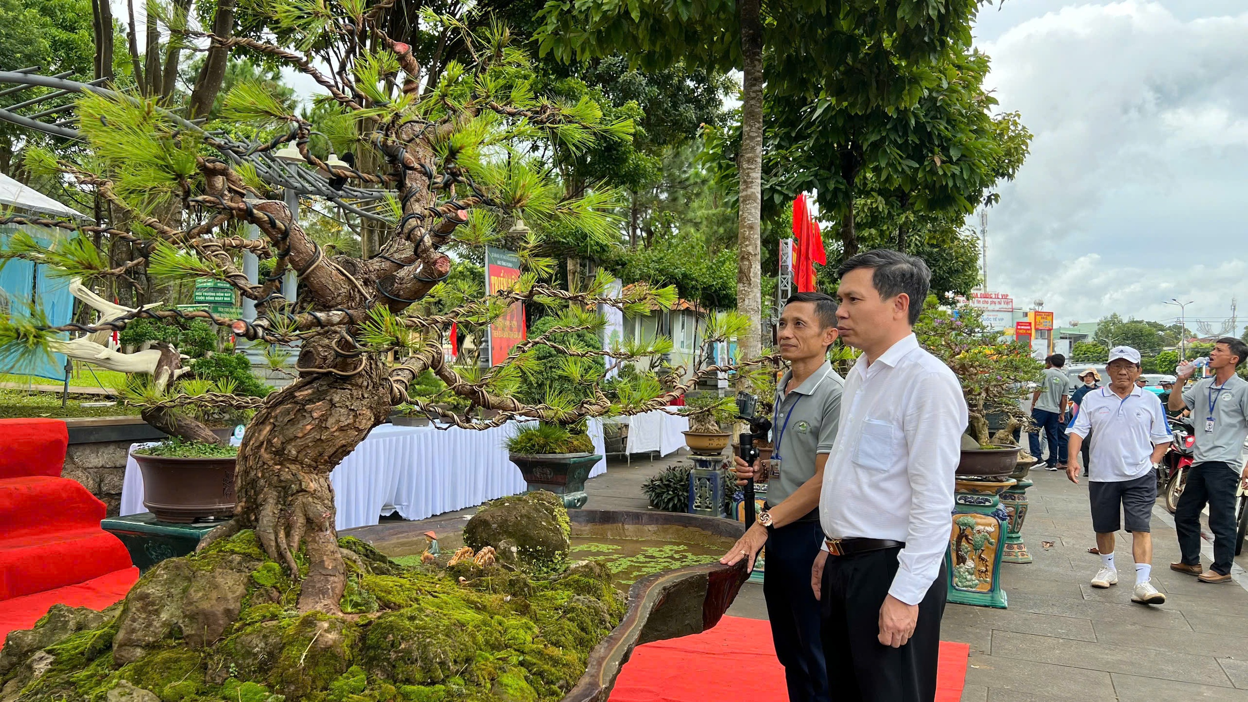 Triển lãm gốm và trưng bày bonsai phục vụ người dân và du khách dịp lễ 2/9- Ảnh 5. Triển lãm gốm và trưng bày bonsai phục vụ người dân và du khách dịp lễ 2/9- Ảnh 5.