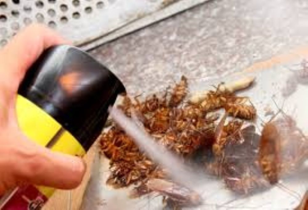 Người đàn ông bị bỏng cấp độ hai toàn thân khi sử dụng loại thuốc xịt này? - Ảnh 1.