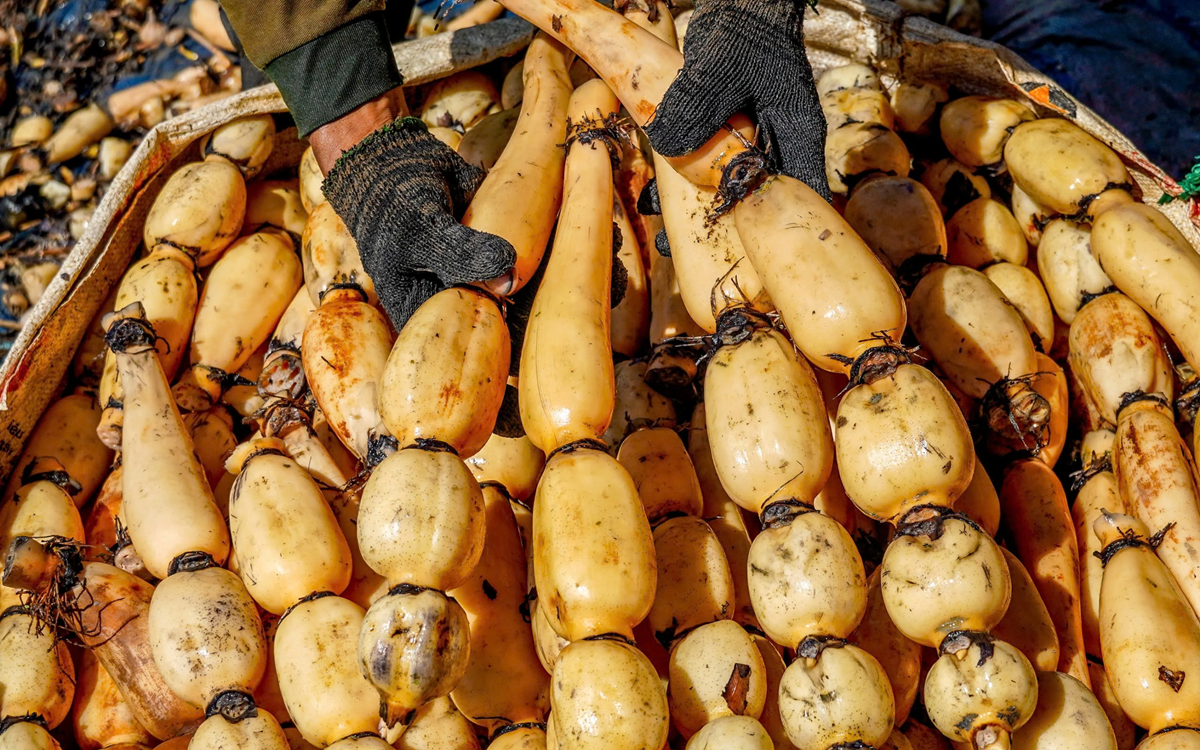 2 m&oacute;n ăn người Việt th&iacute;ch m&ecirc; dễ l&agrave; "ổ k&yacute; sinh tr&ugrave;ng", nhất l&agrave; c&aacute;i số 1 - Ảnh 3.