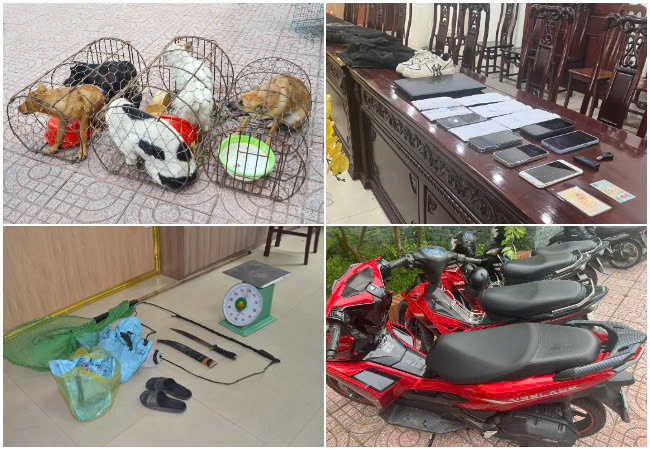 Bắt ổ nhóm nhóm siêu trộm chó với tang vật lớn - Ảnh 2.