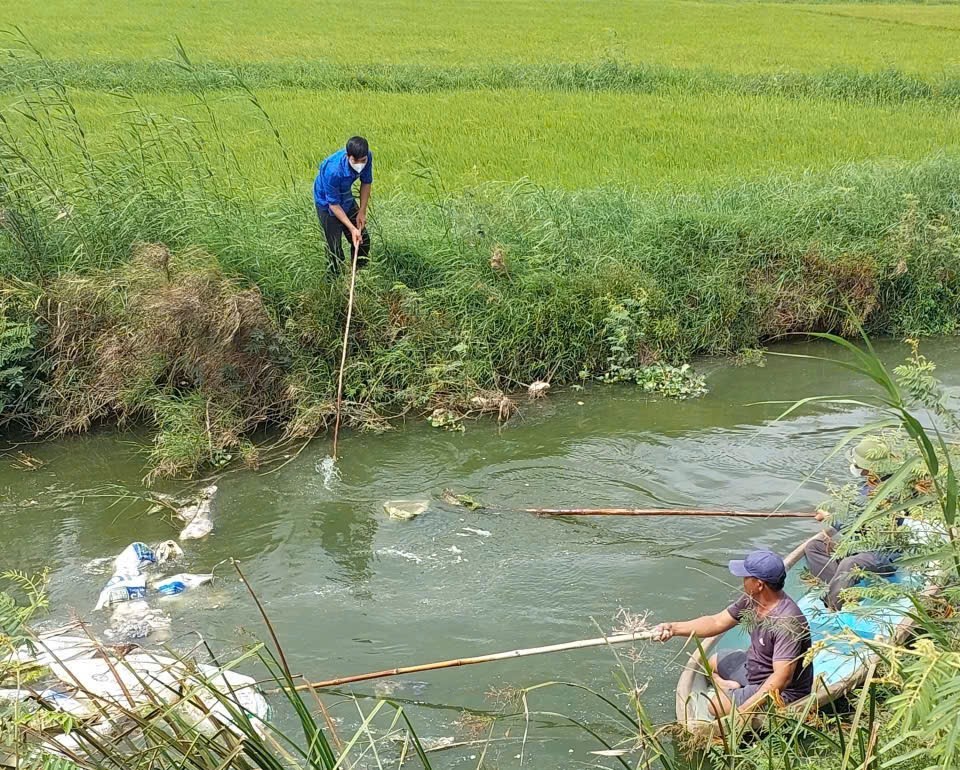 Dịch tả lợn châu Phi lan rộng tại 46 xã, phường ở tỉnh Quảng Trị- Ảnh 1. Dịch tả lợn châu Phi lan rộng tại 46 xã, phường ở tỉnh Quảng Trị- Ảnh 1.