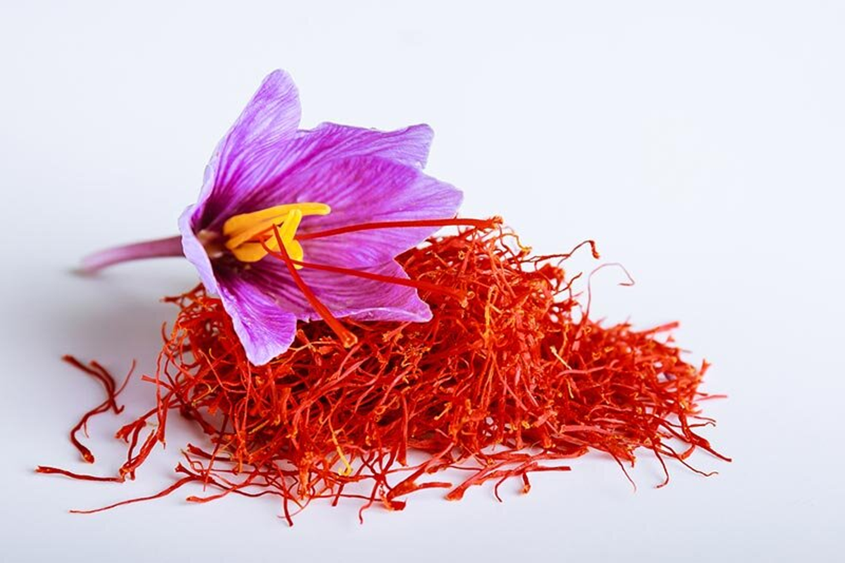 Loại cây đắt đỏ bậc nhất thế giới, giá gần 300 triệu đồng/kg, ở Việt Nam có người trồng thành công - Ảnh 2.