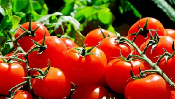 Loại quả được đánh giá "tốt nhất thế giới", ở chợ Việt vừa rẻ vừa nhiều - Ảnh 3.