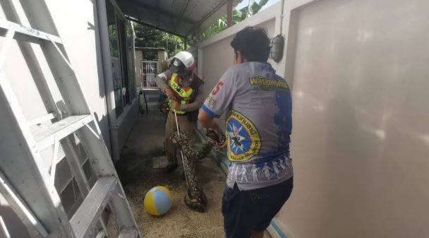 Nhìn lên trần nhà, người phụ nữ bắt gặp cảnh tượng nổi da gà - Ảnh 2.
