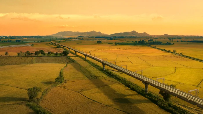 Nhạc DTAP bùng nổ, lan tỏa "Tự hào Việt Nam"! - Ảnh 6.