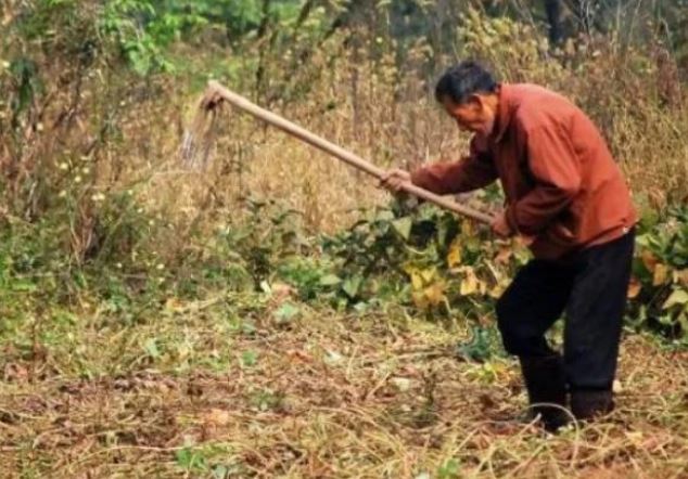 Đang làm ruộng, nông dân phát hiện kho báu 5kg vàng trị giá gần 14 tỷ đồng - Ảnh 1.