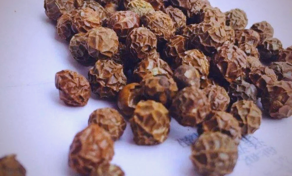 Cây dại có tên lạ xưa không ai ngó nay giá đắt đỏ, hái bán đếm tiền không kịp - Ảnh 3.