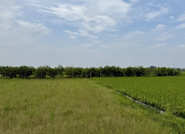 Hà Nội tiếp tục mời đăng ký thực hiện dự án nhà ở thương mại thông qua thỏa thuận về nhận quyền sử dụng đất - Ảnh 1.