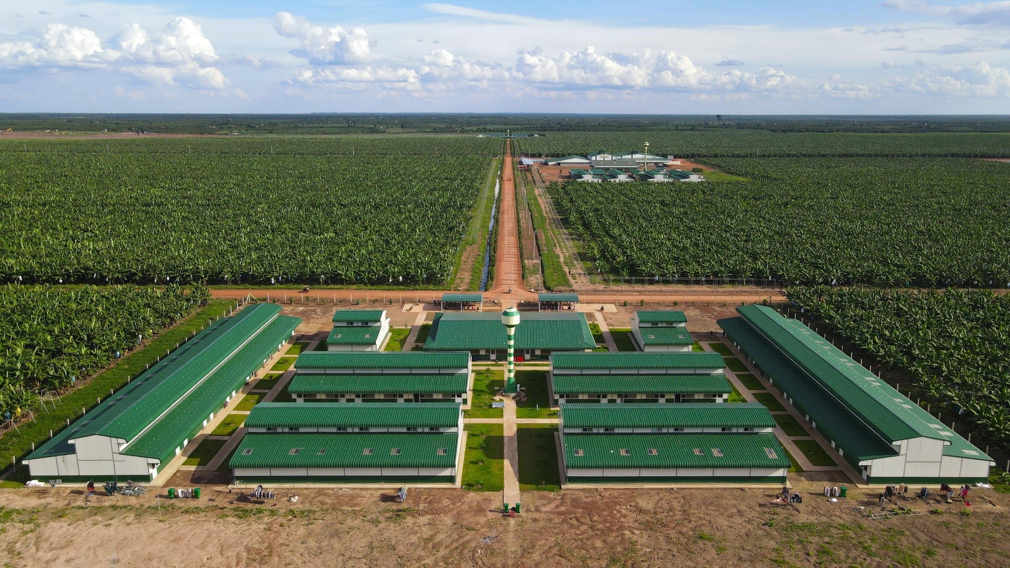 Thaco Agri báo lãi sụt giảm, nợ vay tăng vọt - Ảnh 1.