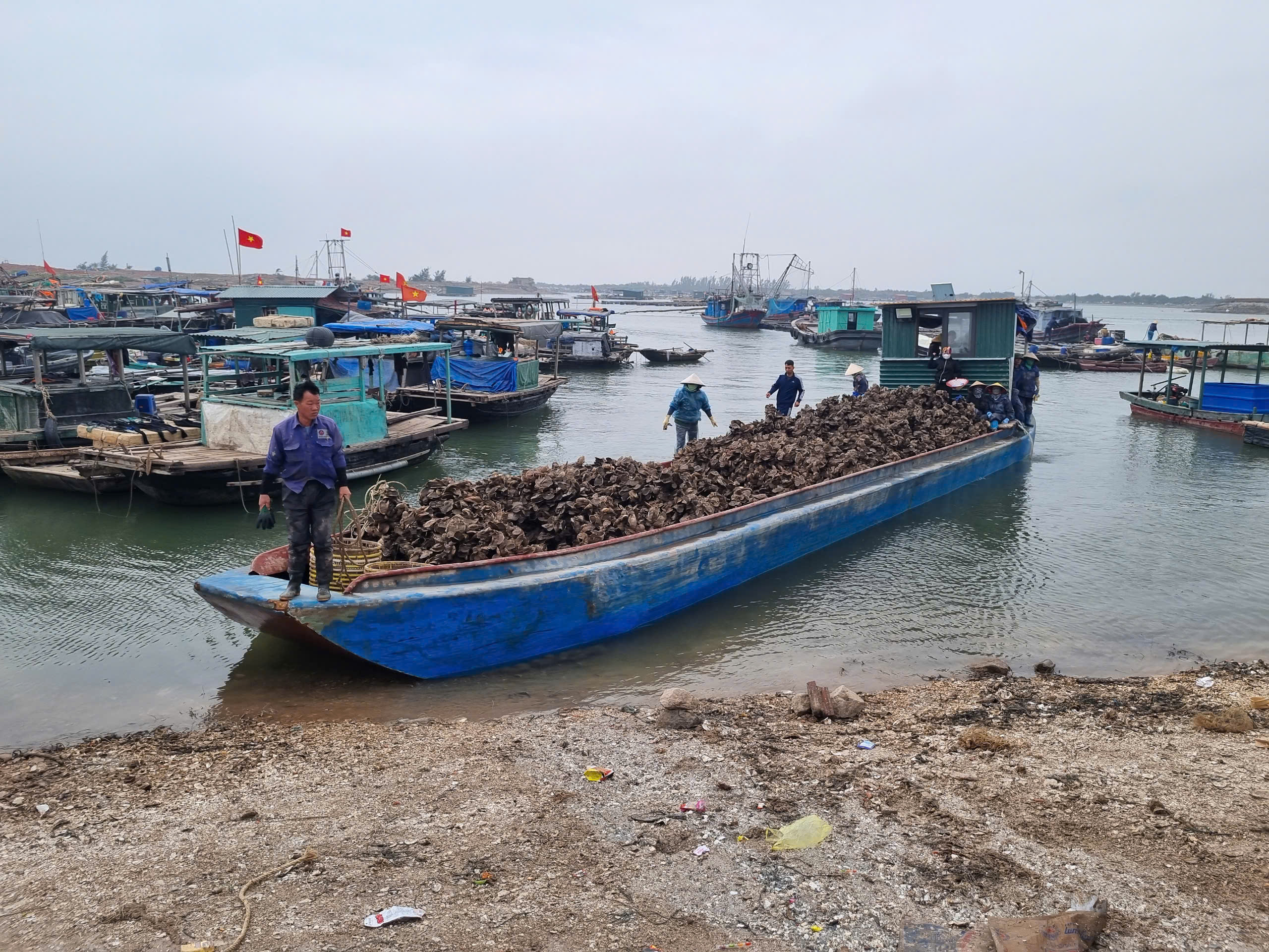 Quảng Ninh: Dư nợ tín dụng tăng 7,2% từ đầu năm - Ảnh 2.