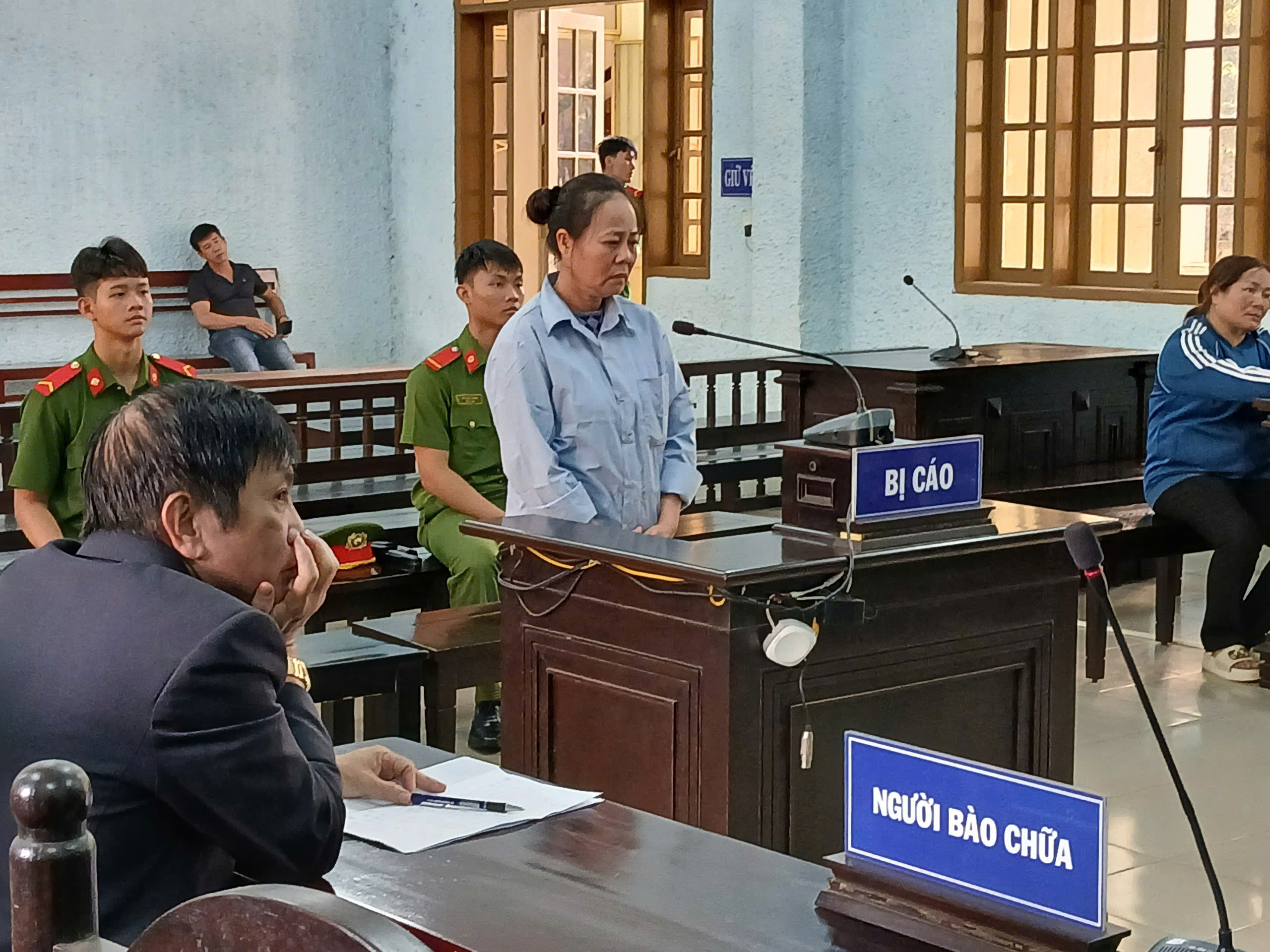 Chiếm đoạt 4,6 tỷ đồng để tiêu xài, người phụ nữ lãnh án 12 năm 9 tháng tù giam- Ảnh 1.