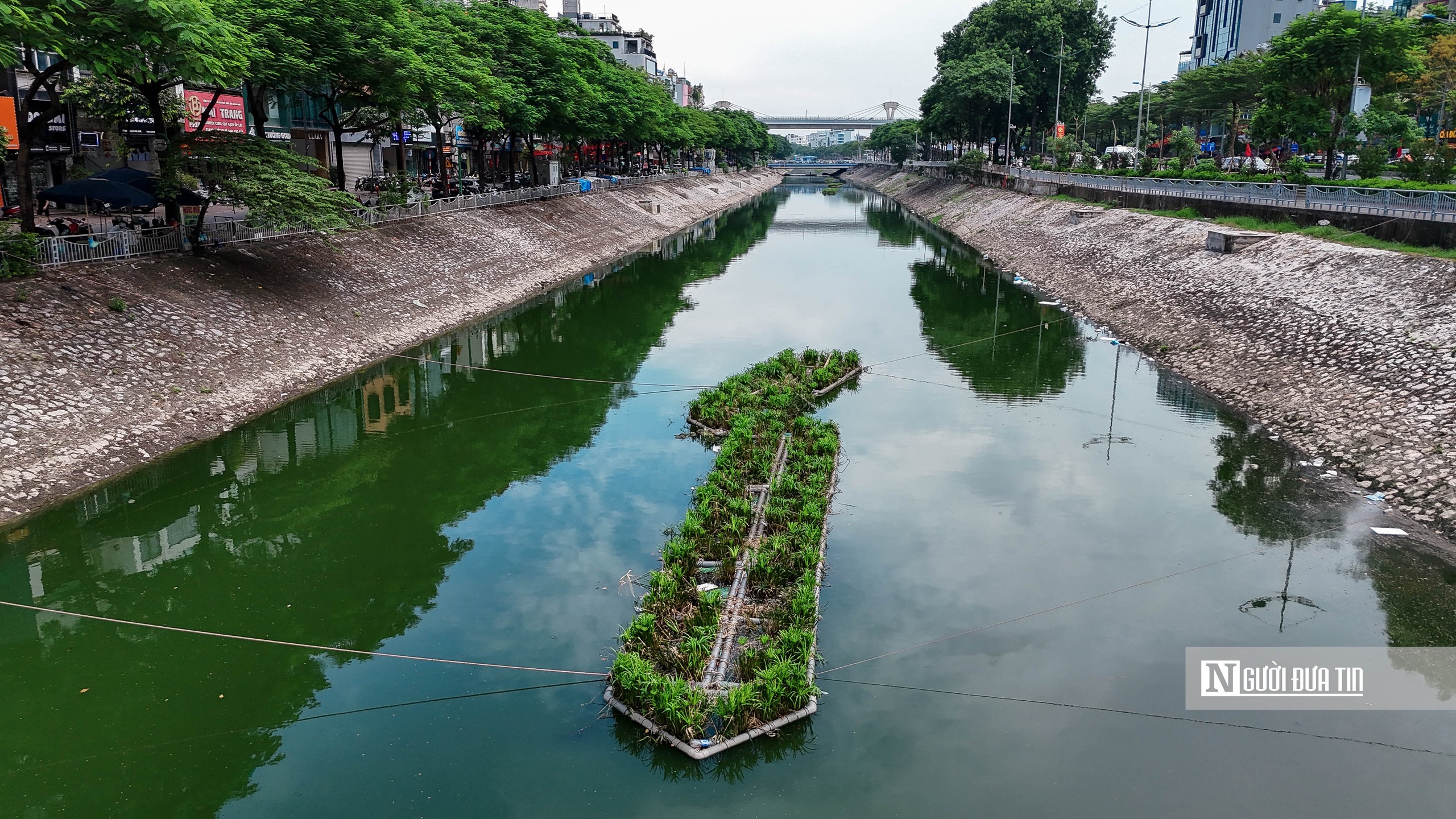 Hiếm thấy: Sông Tô Lịch xanh ngắt, từng đàn cá tung tăng bơi lội- Ảnh 19.