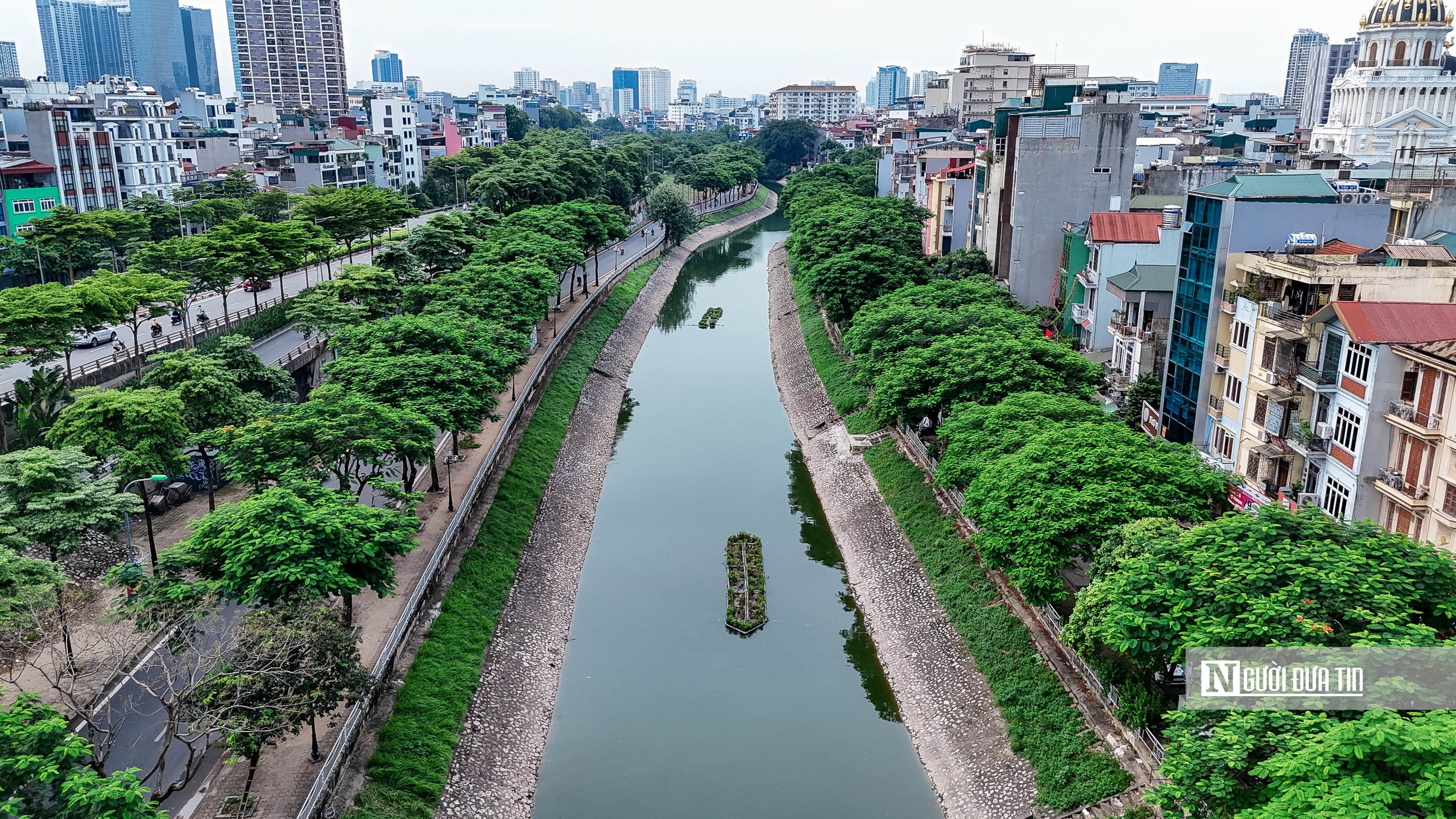 Hiếm thấy: Sông Tô Lịch xanh ngắt, từng đàn cá tung tăng bơi lội- Ảnh 3.