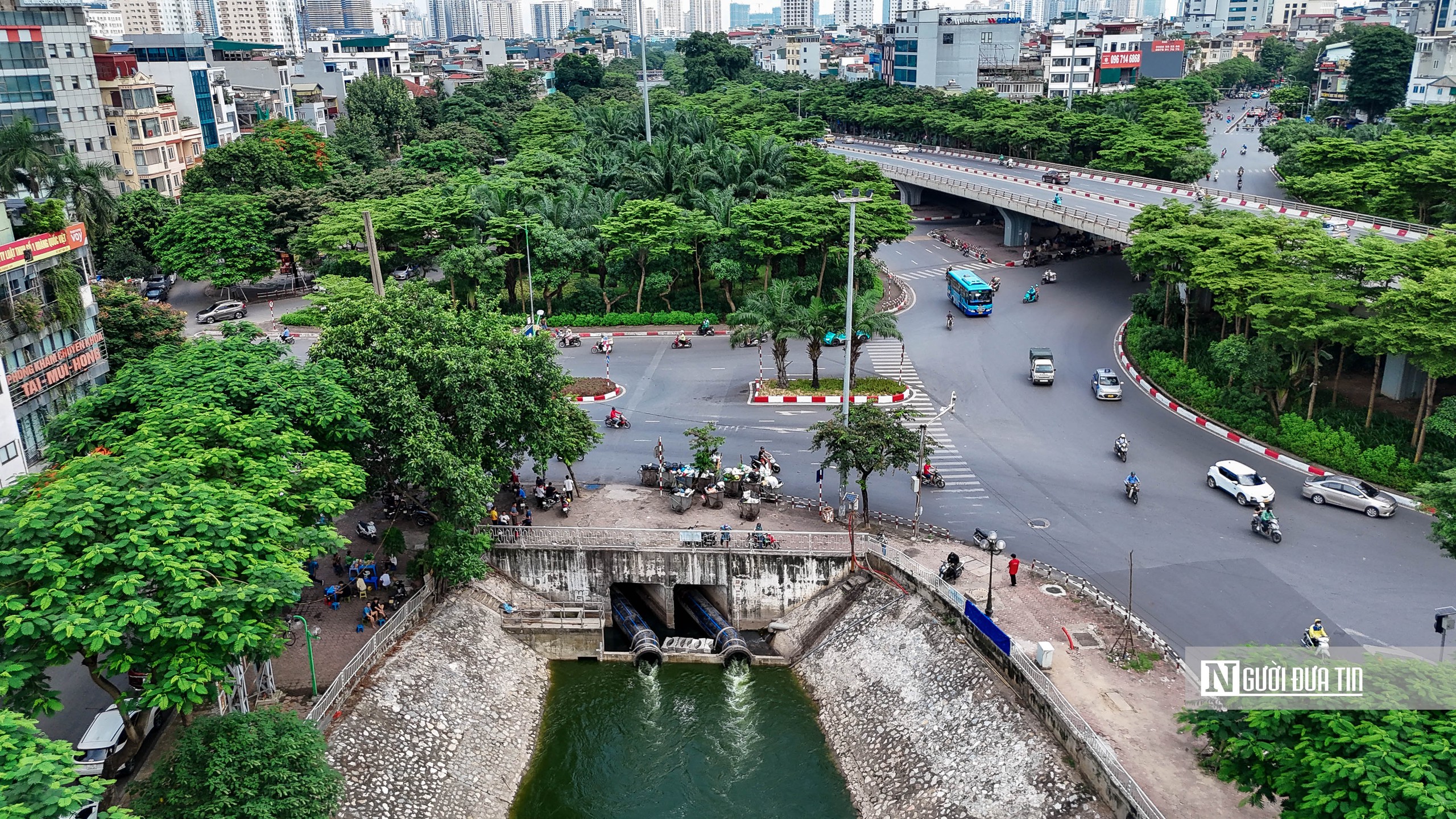 Hiếm thấy: Sông Tô Lịch xanh ngắt, từng đàn cá tung tăng bơi lội- Ảnh 1.