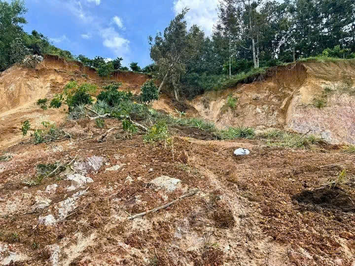 Video: Mưa lớn gây sạt lở nhà, ngập úng tại Lâm Đồng, thiệt hại hơn 2,5 tỷ đồng - Ảnh 1.