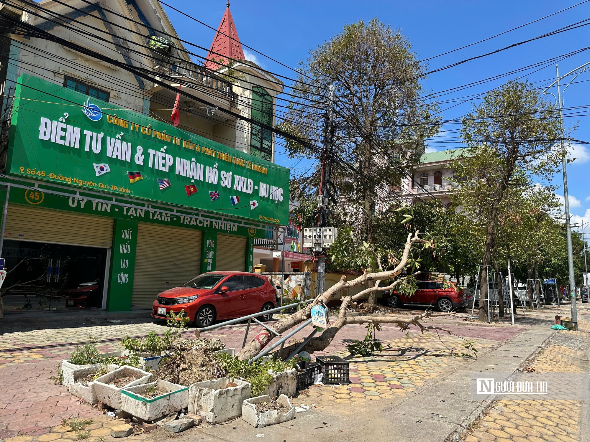 Hơn nửa tháng sau bão, đô thị Nghệ An vẫn ngổn ngang cây xanh gãy đổ- Ảnh 5.