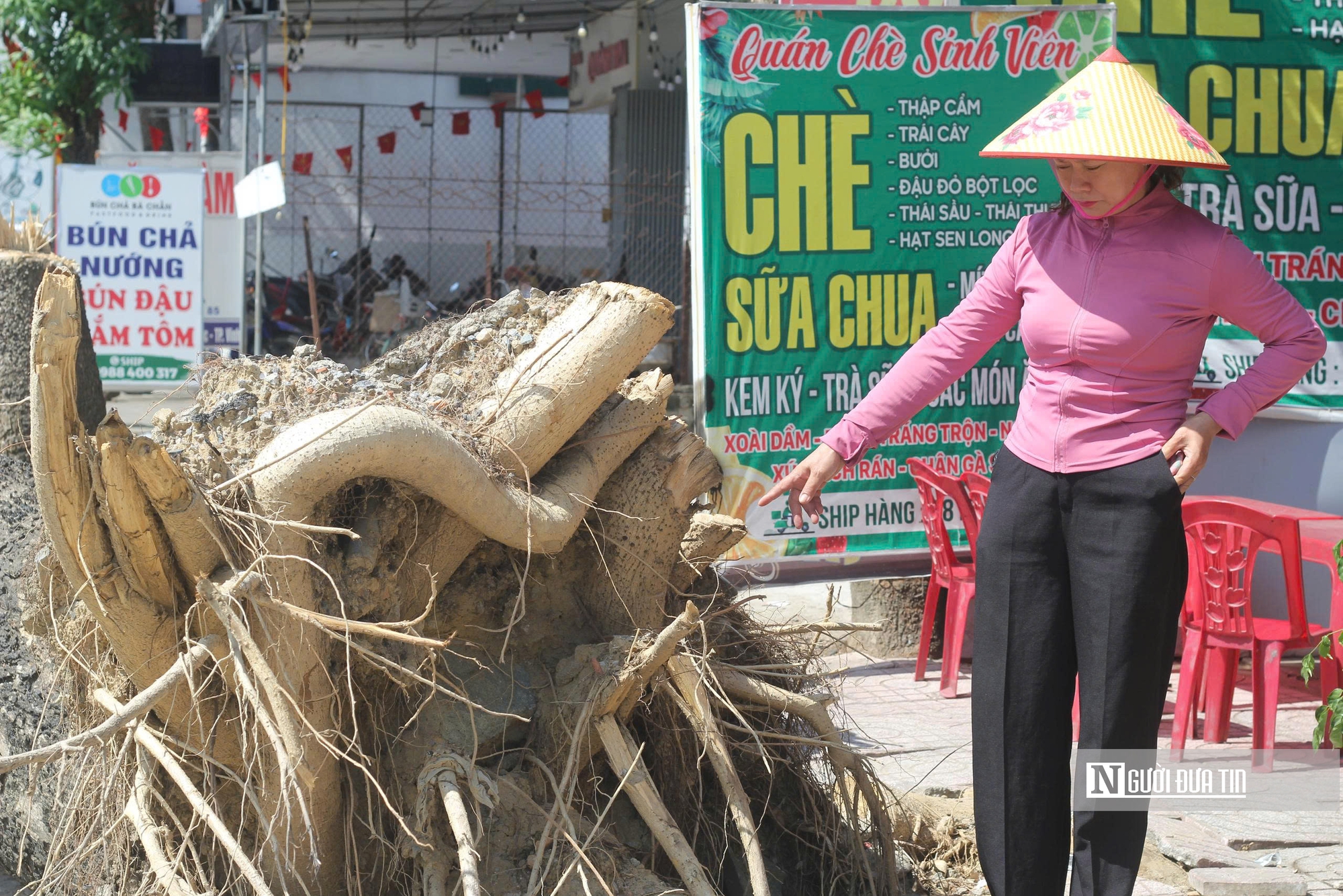 Hơn nửa tháng sau bão, đô thị Nghệ An vẫn ngổn ngang cây xanh gãy đổ- Ảnh 6.