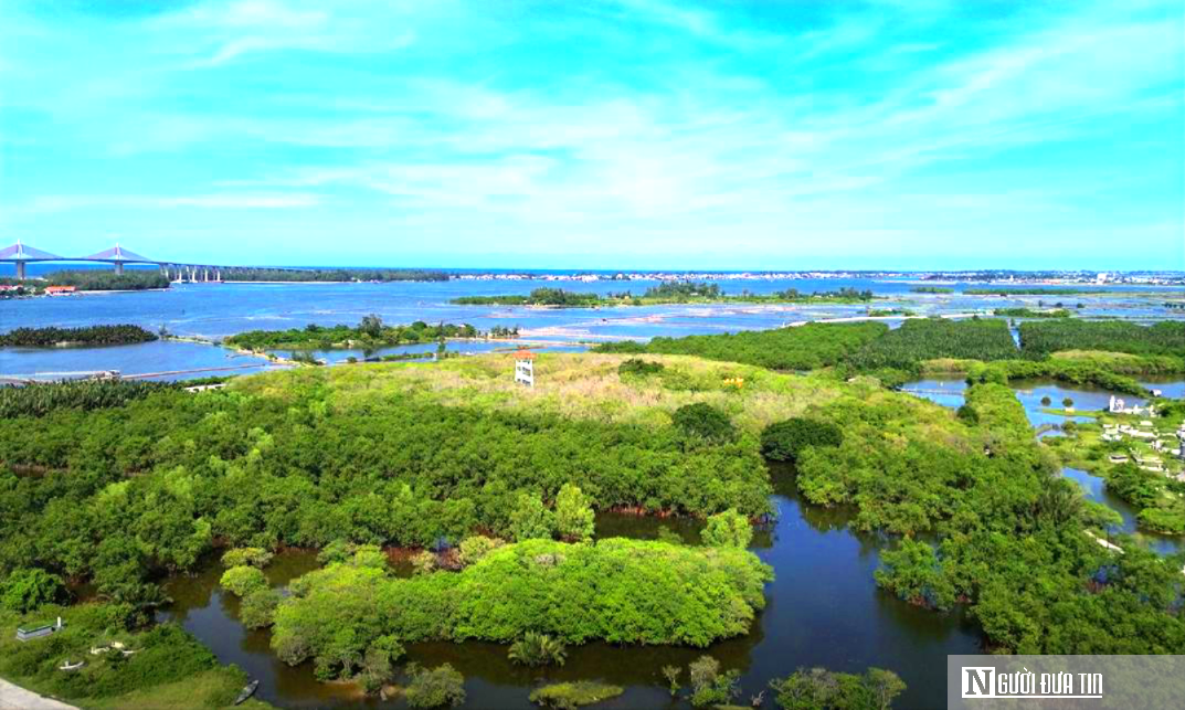 Chi 73 tỷ đồng mở rộng khu rừng ngập mặn nguyên sinh còn lại duy nhất ở Huế- Ảnh 1. Chi 73 tỷ đồng mở rộng khu rừng ngập mặn nguyên sinh còn lại duy nhất ở Huế- Ảnh 1.