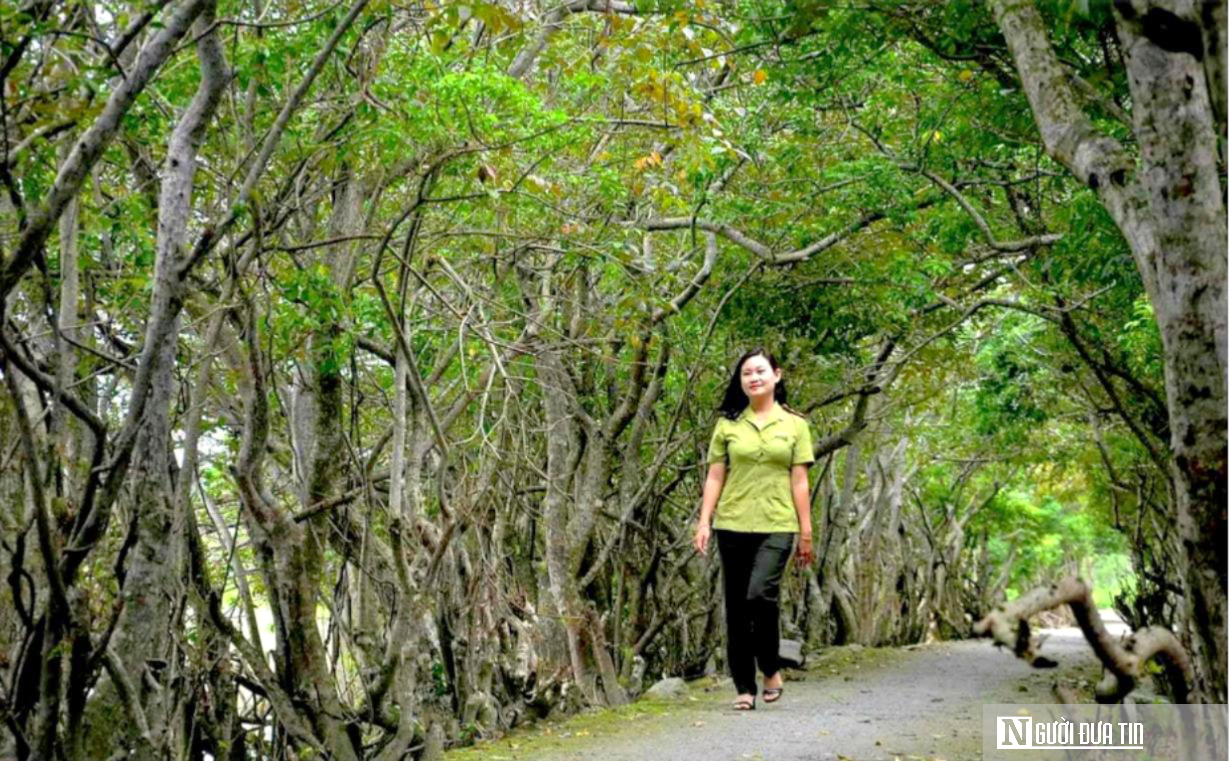 Chi 73 tỷ đồng mở rộng khu rừng ngập mặn nguyên sinh còn lại duy nhất ở Huế- Ảnh 8. Chi 73 tỷ đồng mở rộng khu rừng ngập mặn nguyên sinh còn lại duy nhất ở Huế- Ảnh 8.